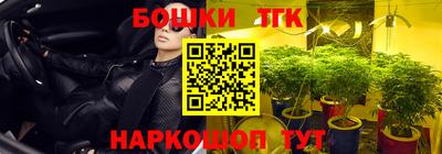 дживик Анжеро-Судженск